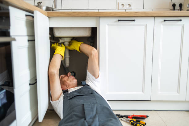 Best Drain Cleaning Services  in Houghton, NY