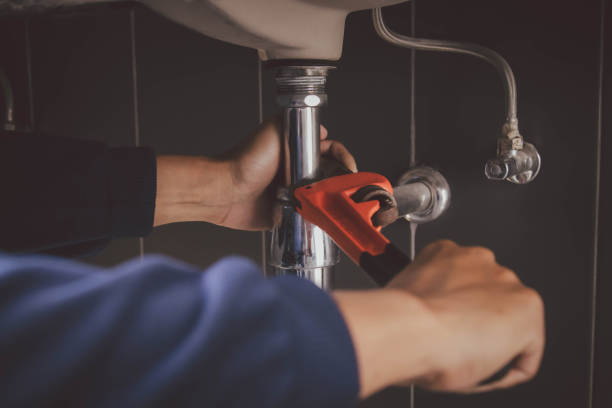 Best Local Plumber Services  in Houghton, NY