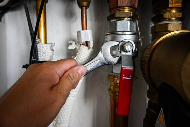 Best Same-Day Plumbing Service  in Houghton, NY